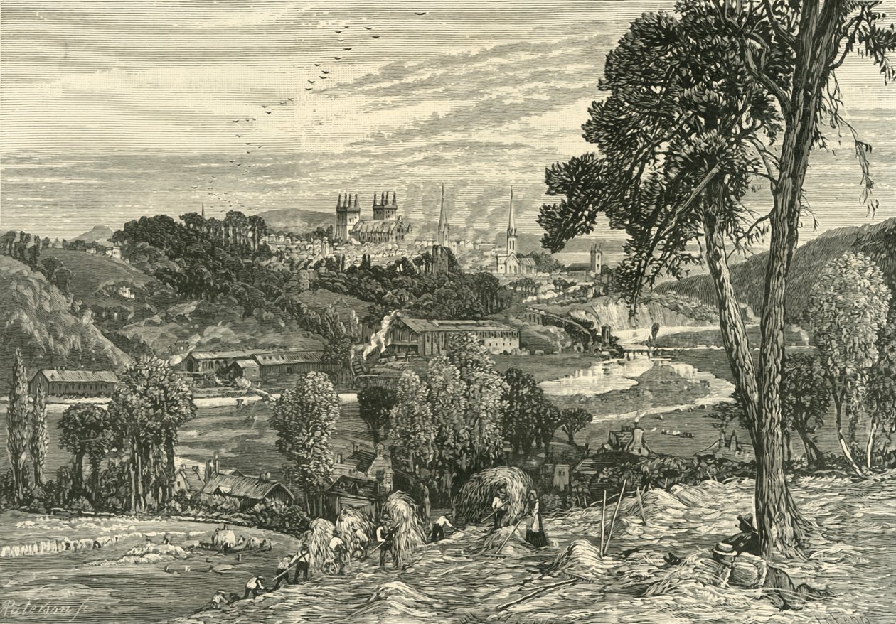 Exwick Fields