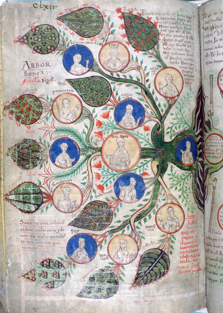 Soy ağacı, Liber Floridus