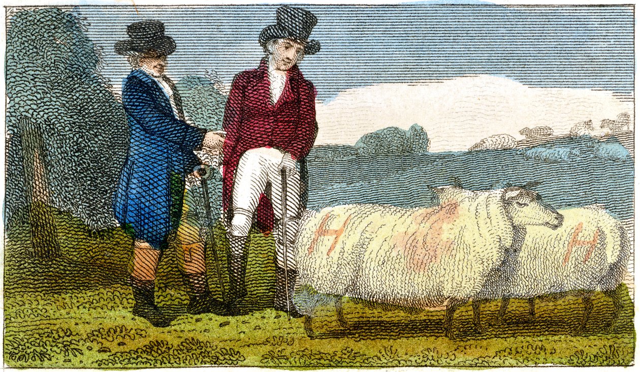 Dishley New Leicester koyunlarını tartışan çiftçiler, 1822 by Unbekannt