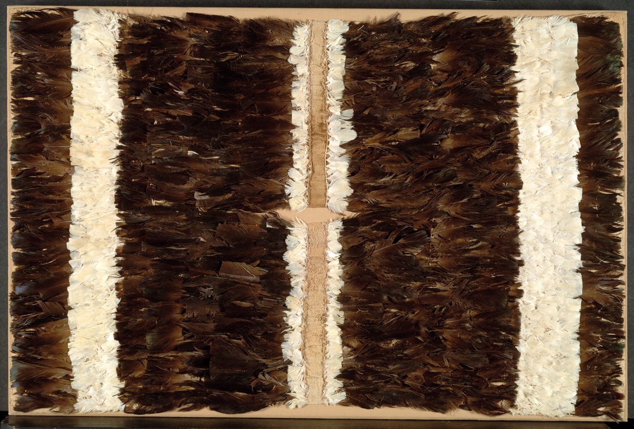 Tüylü Tabard veya Tunik, 600-1500. by Unbekannt