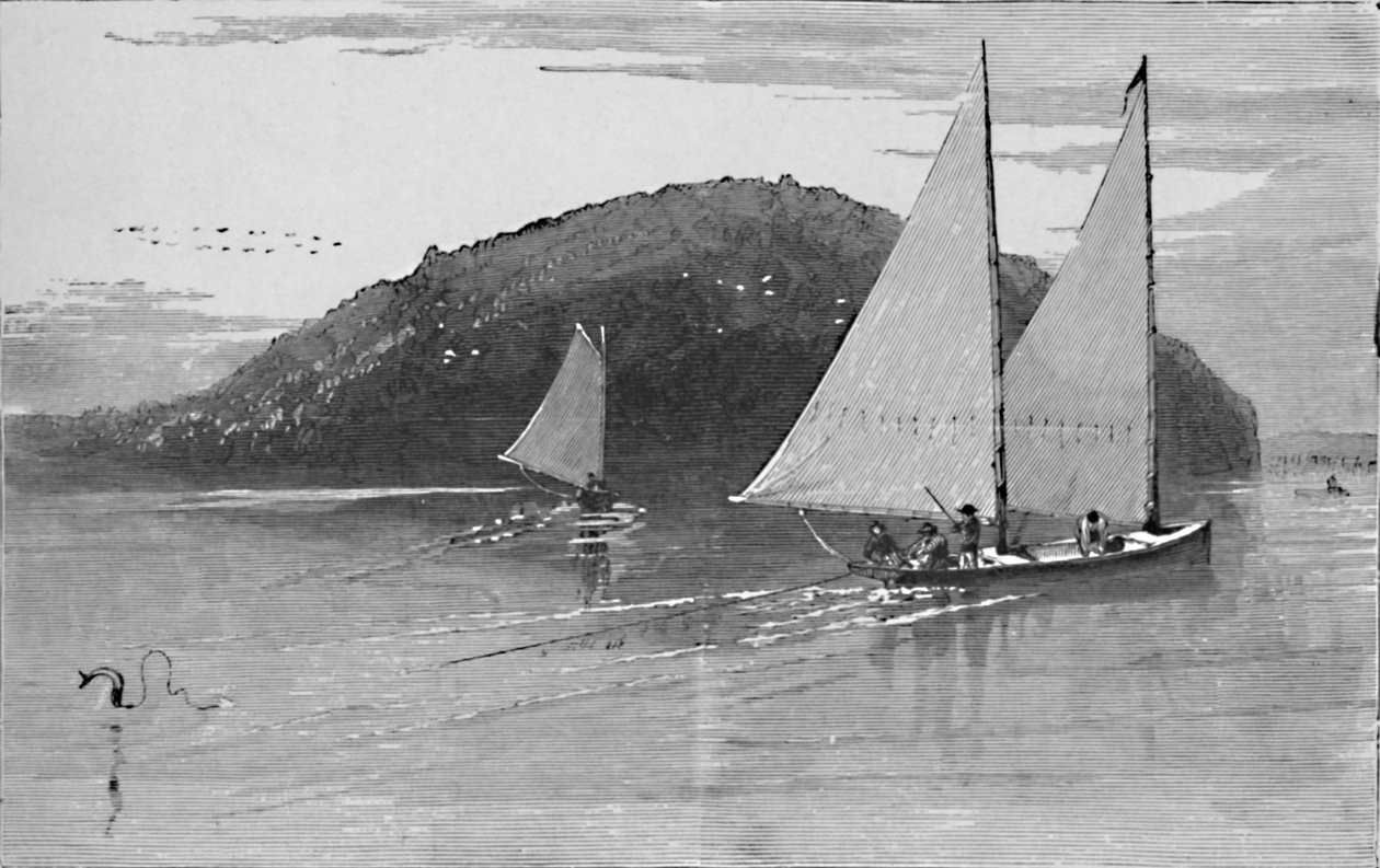 Yelkenli tekneden balık tutmak, 1883 by Unbekannt