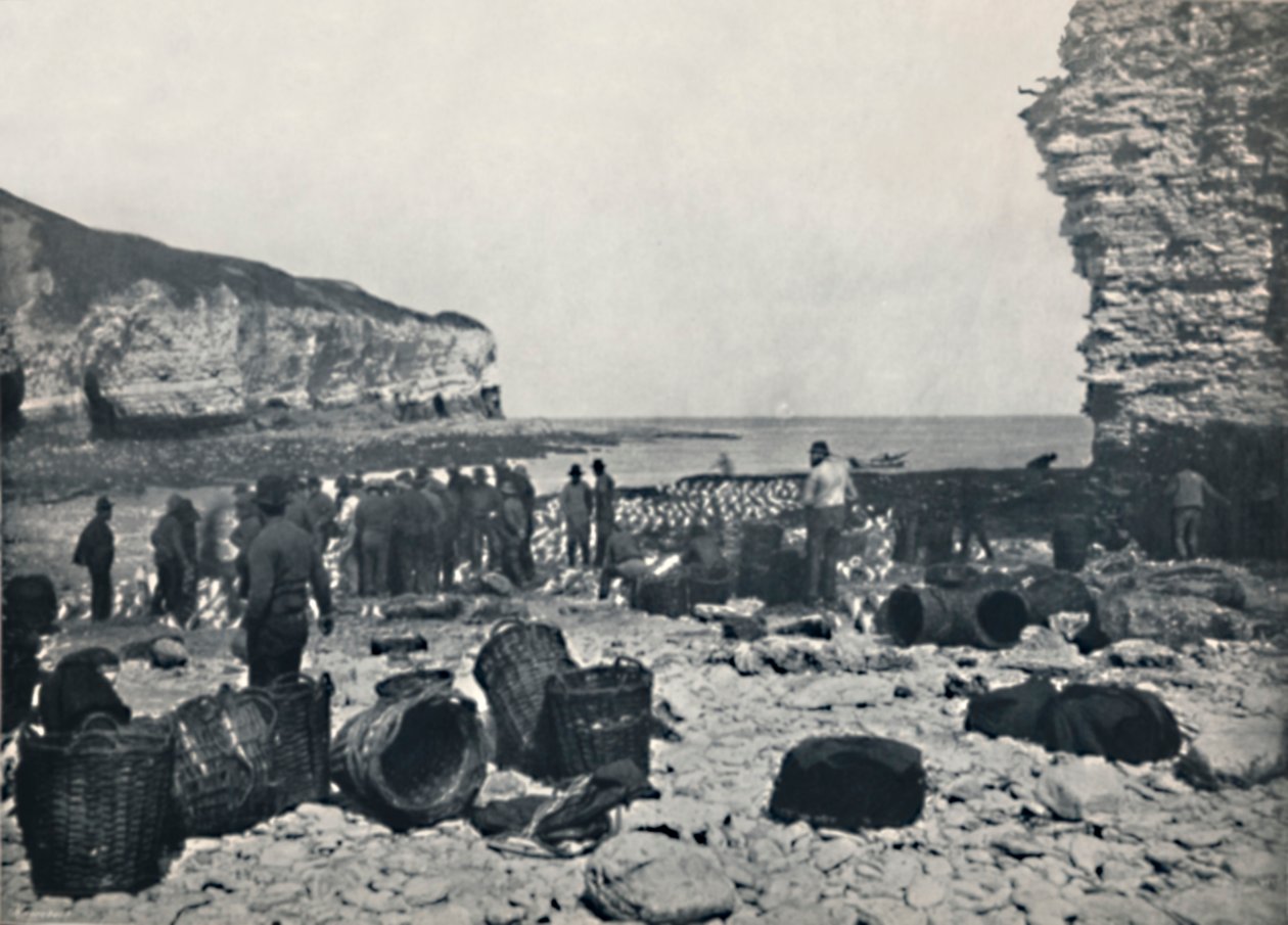 Flamborough - Balıkçılar İş Başında, 1895 by Unbekannt