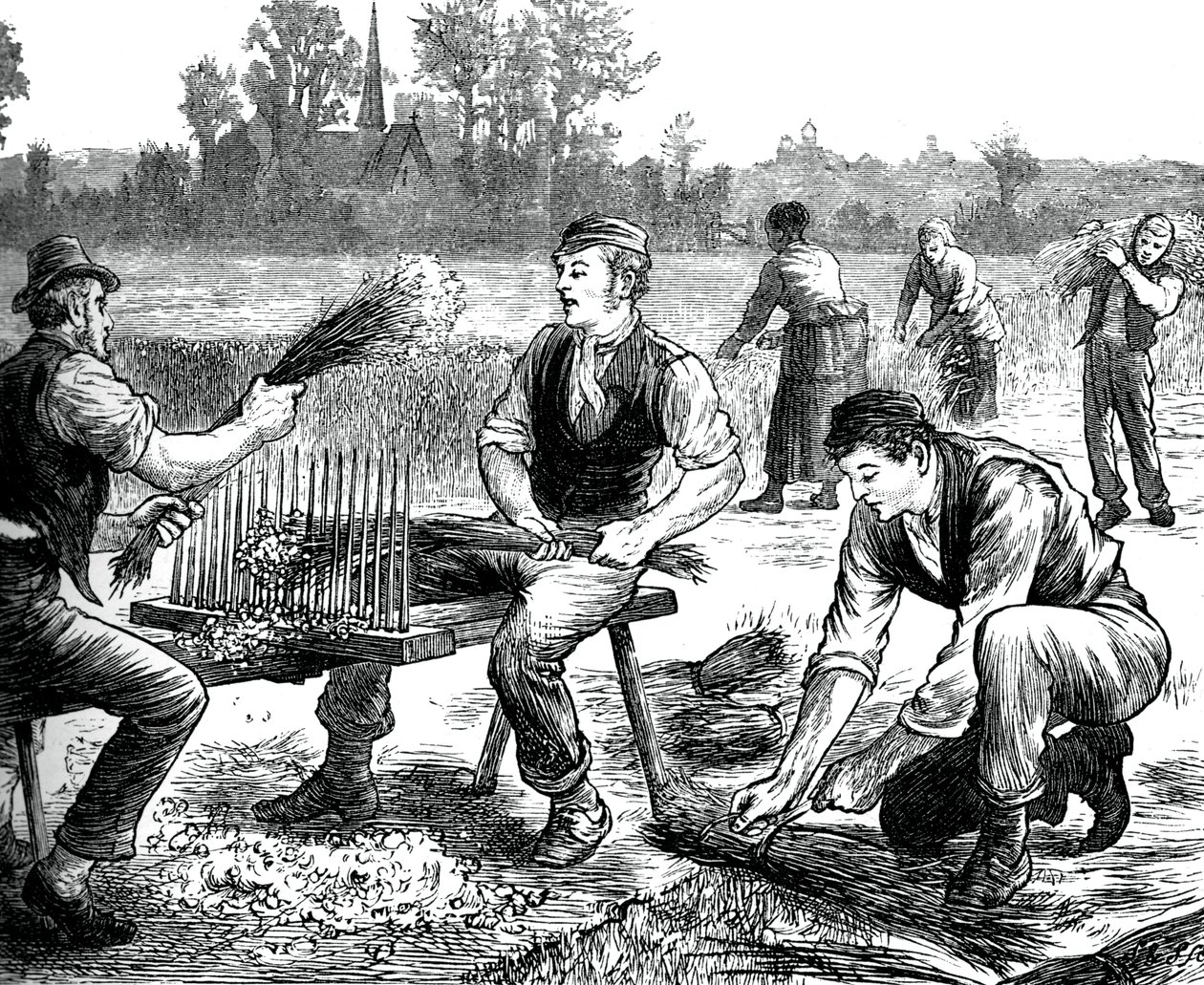 Keten dalgalanması, c1880 by Unbekannt