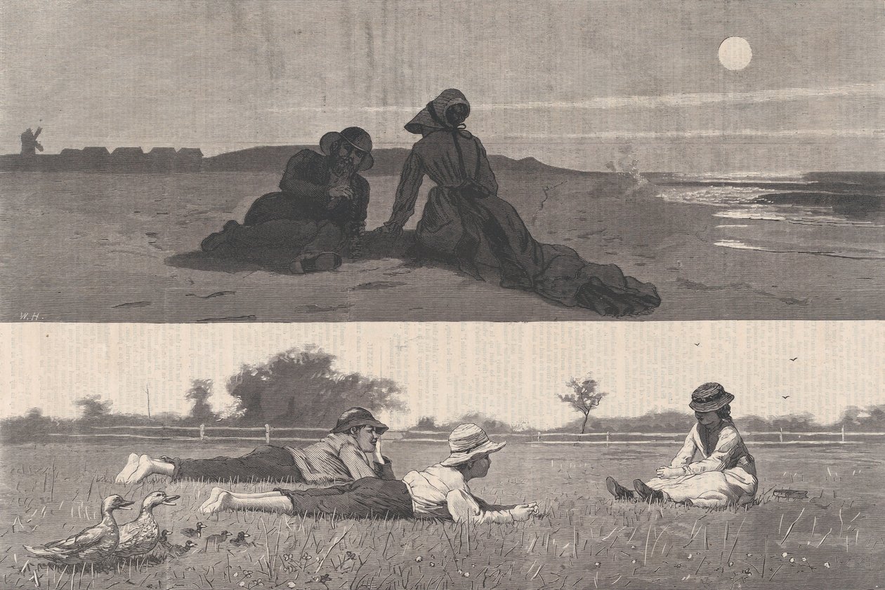 Sea-Shore ve Meadow Harper