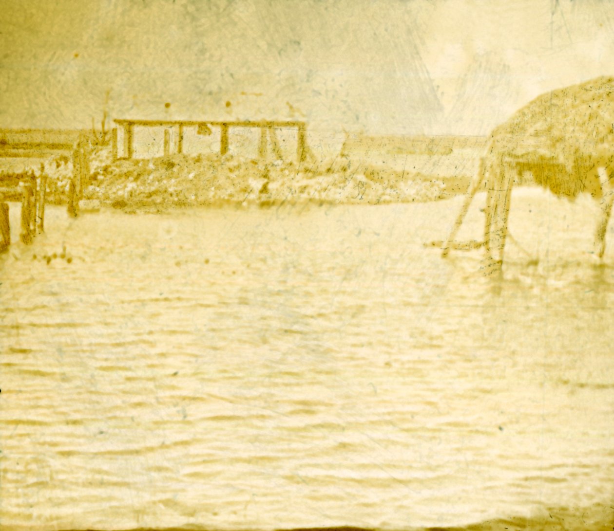 Sel, Ramskapel, Belçika, c1914-c1918 by Unbekannt