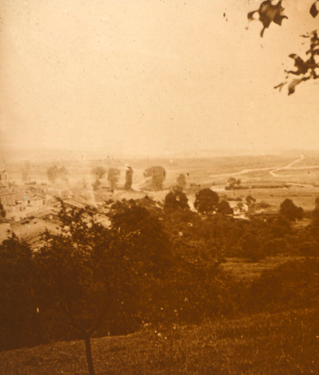 Argonne Ormanı, kuzey Fransa, c1914-c1918 by Unbekannt