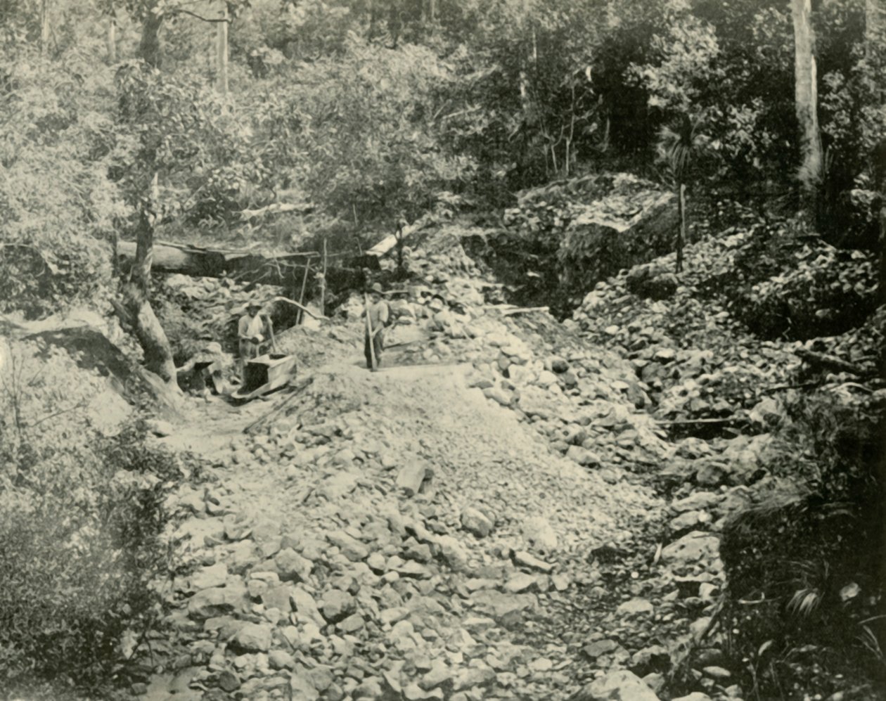 Fossickers İş Başında, 1901. by Unbekannt