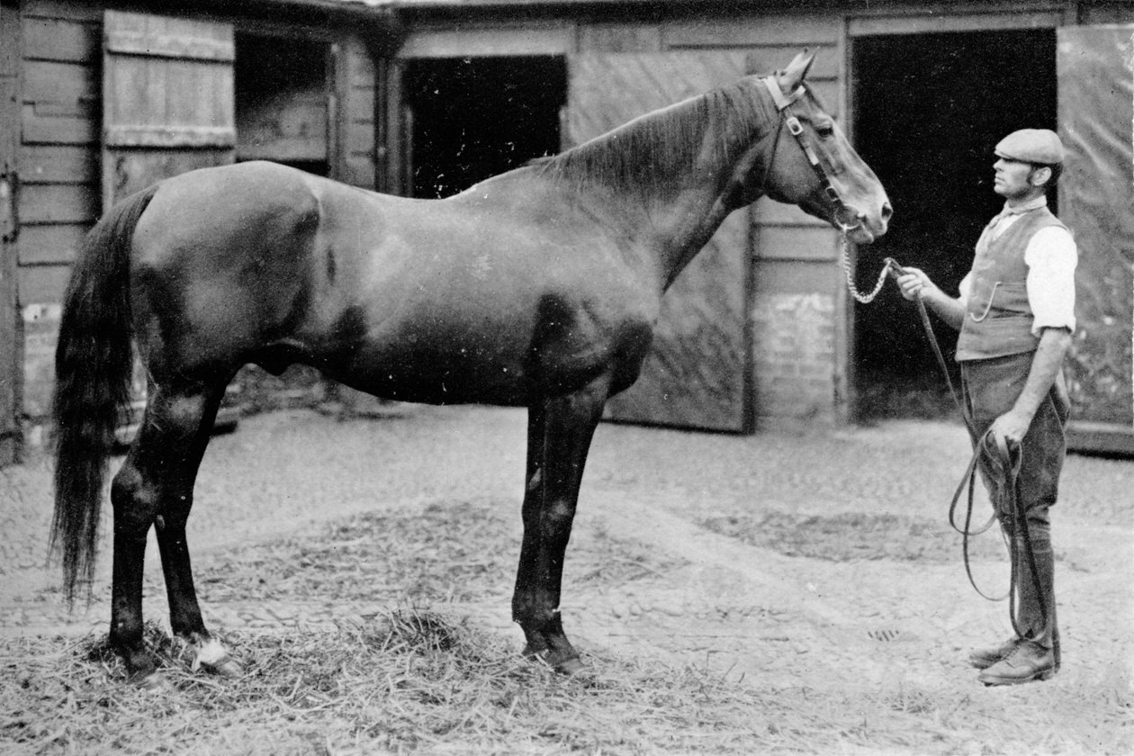 Foxhall, 1880-1904, 1911 by Unbekannt