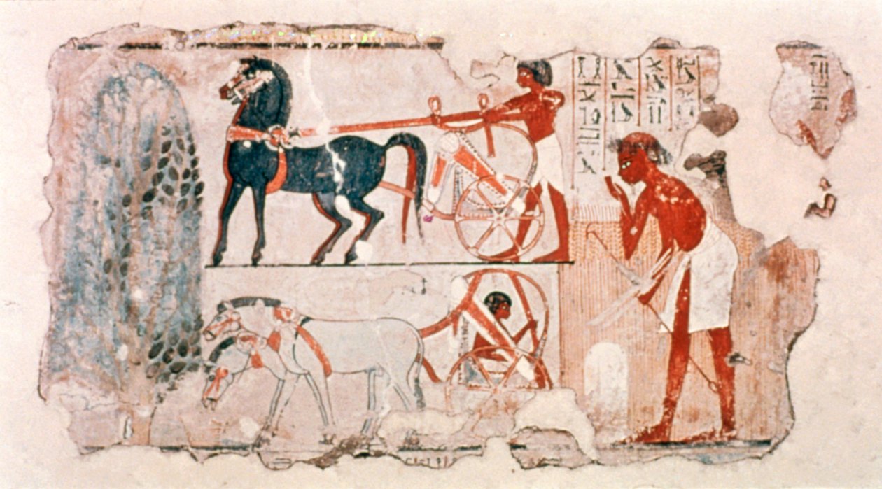 Hasat hesabını betimleyen Eski Mısır boyalı sıva parçası, c1400 M.Ö. by Unbekannt