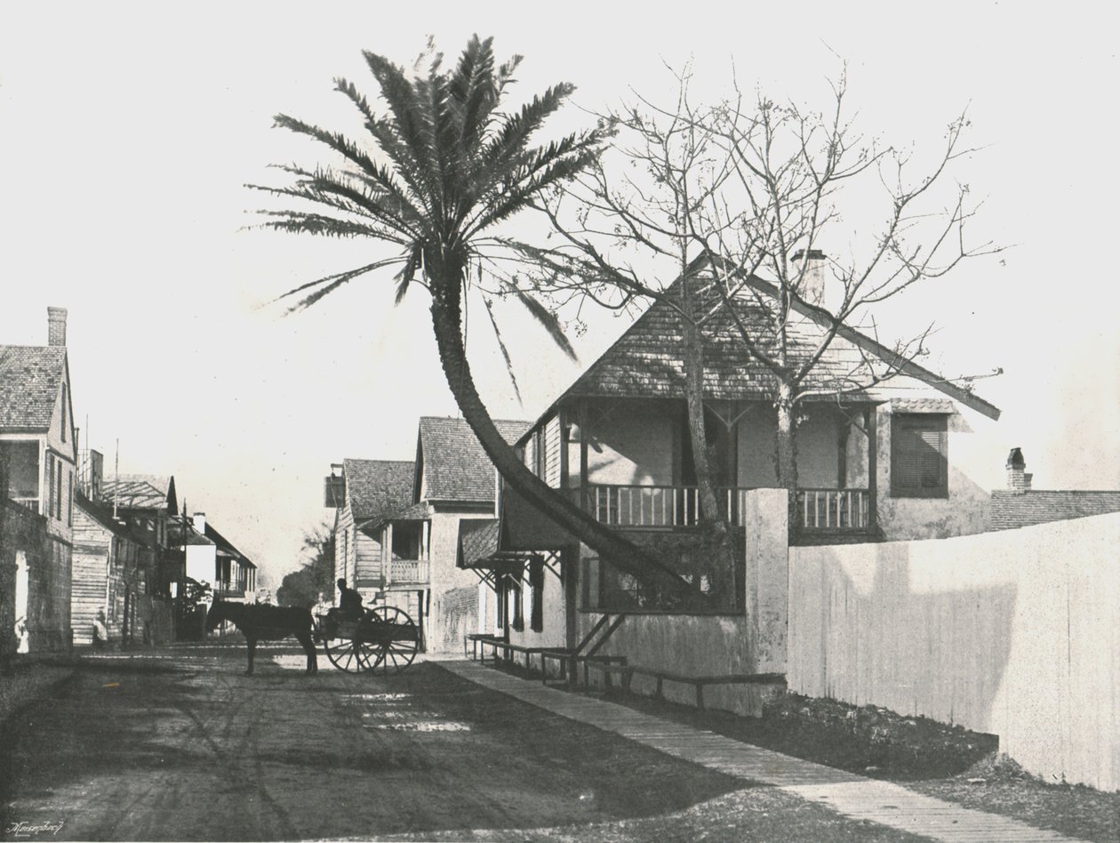Francis Caddesi, St Augustine, ABD, 1895. by Unbekannt