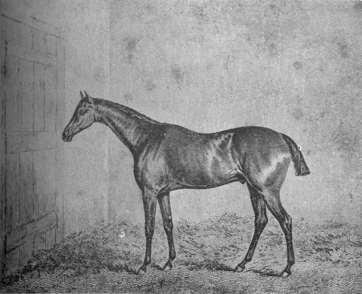 Frederick, 1826-1837, 1911 by Unbekannt