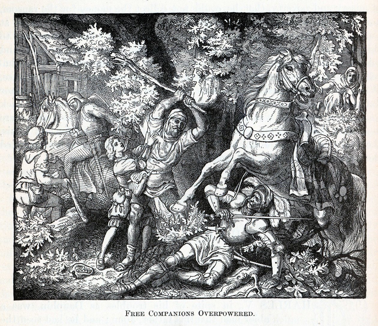 Özgür Yoldaşlar Güçlendi, 1882 by Unbekannt