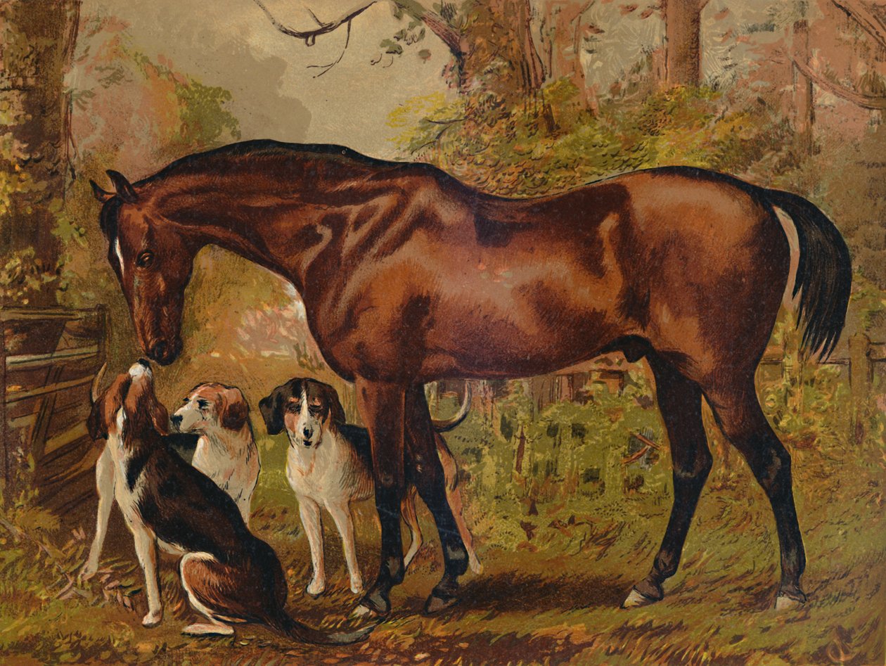 Mason - Geç Hugo Meynell Ingram Esq., c1879