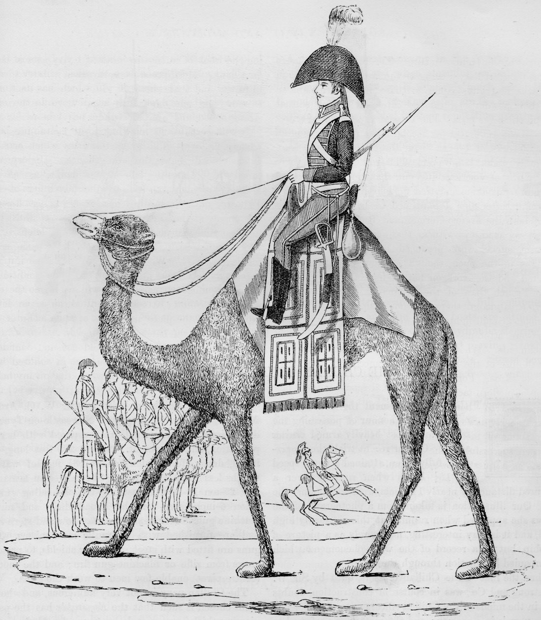 Fransız Dromedary Alayı. Libya Çölü