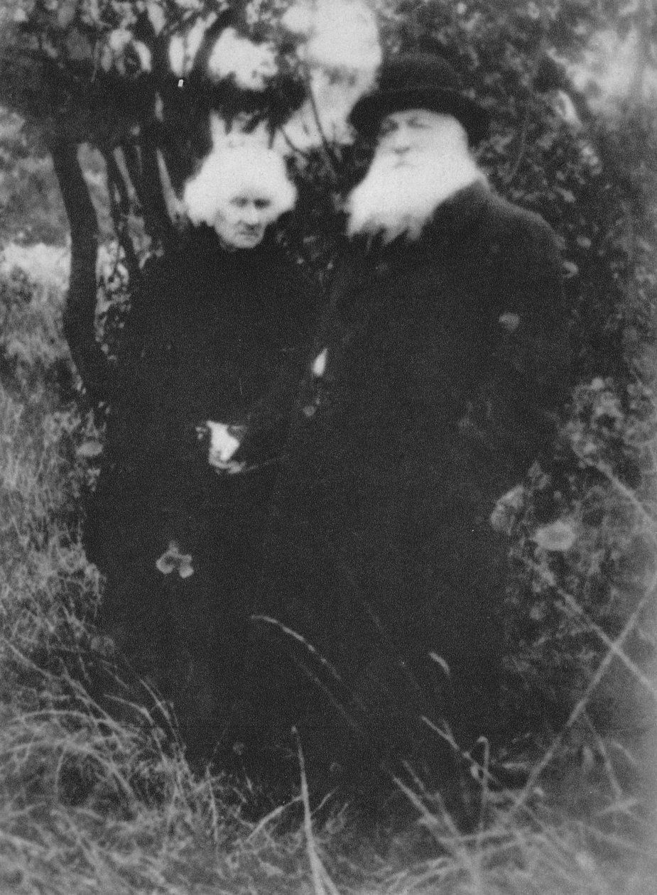 Fransız heykeltıraş Auguste Rodin, Meudon