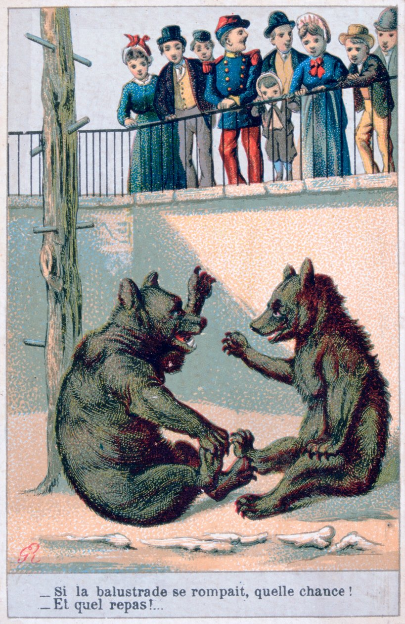 Fransız zoolojik kartpostal, 19. yüzyıl by Unbekannt