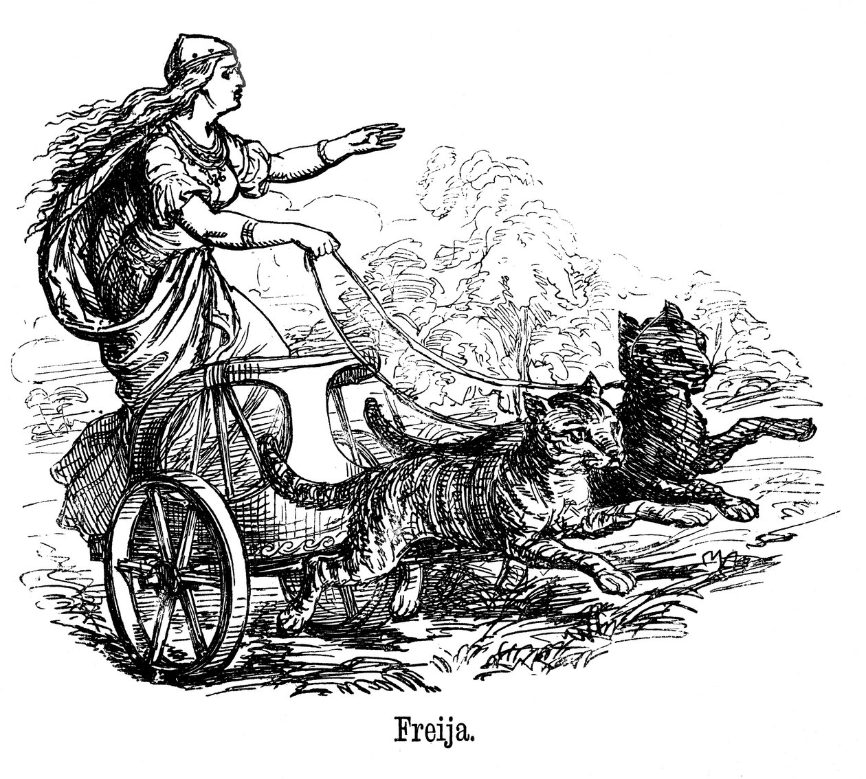 İskandinav mitolojisinde aşk tanrıçası Freya Frigg, kedilerin çektiği arabasını sürüyor. by Unbekannt