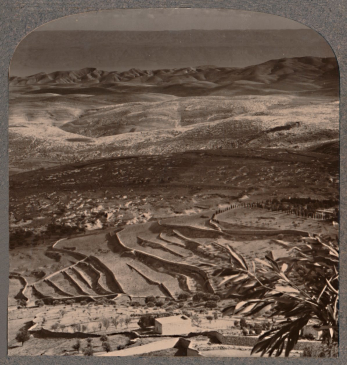 Olivet