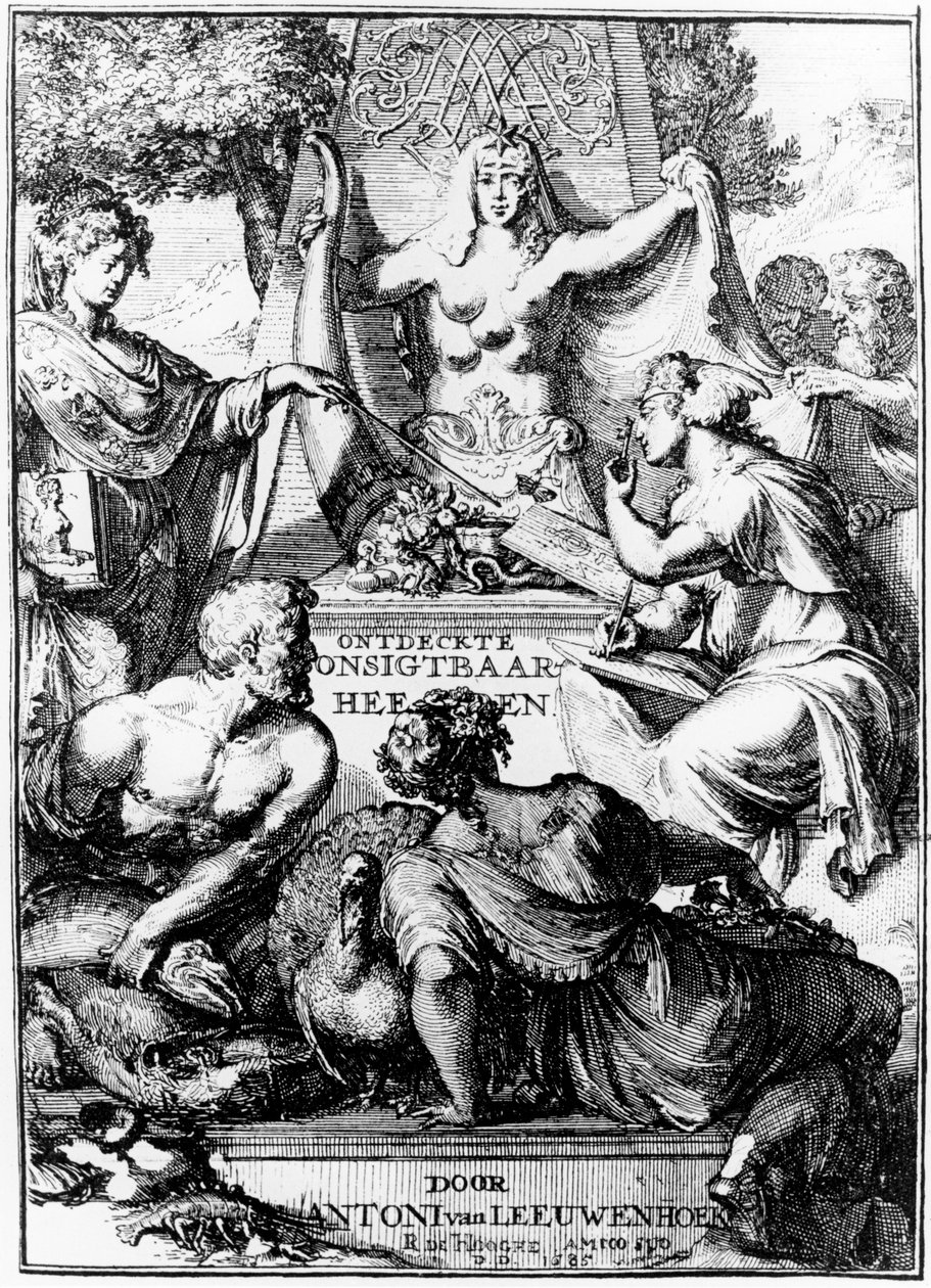 Boşaltma ve Ortaya Çıkarmanın Cephesi... Anton van Leeuwenhoek