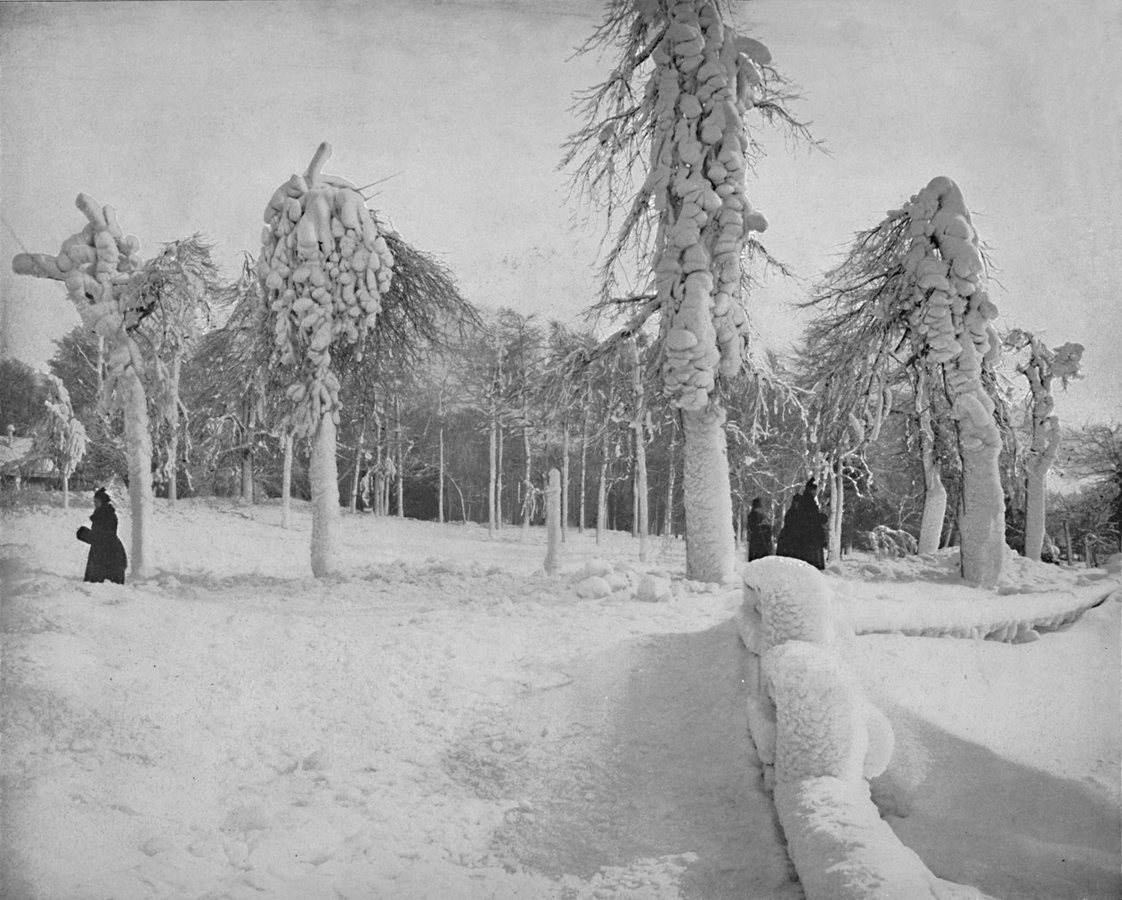 Prospect Park