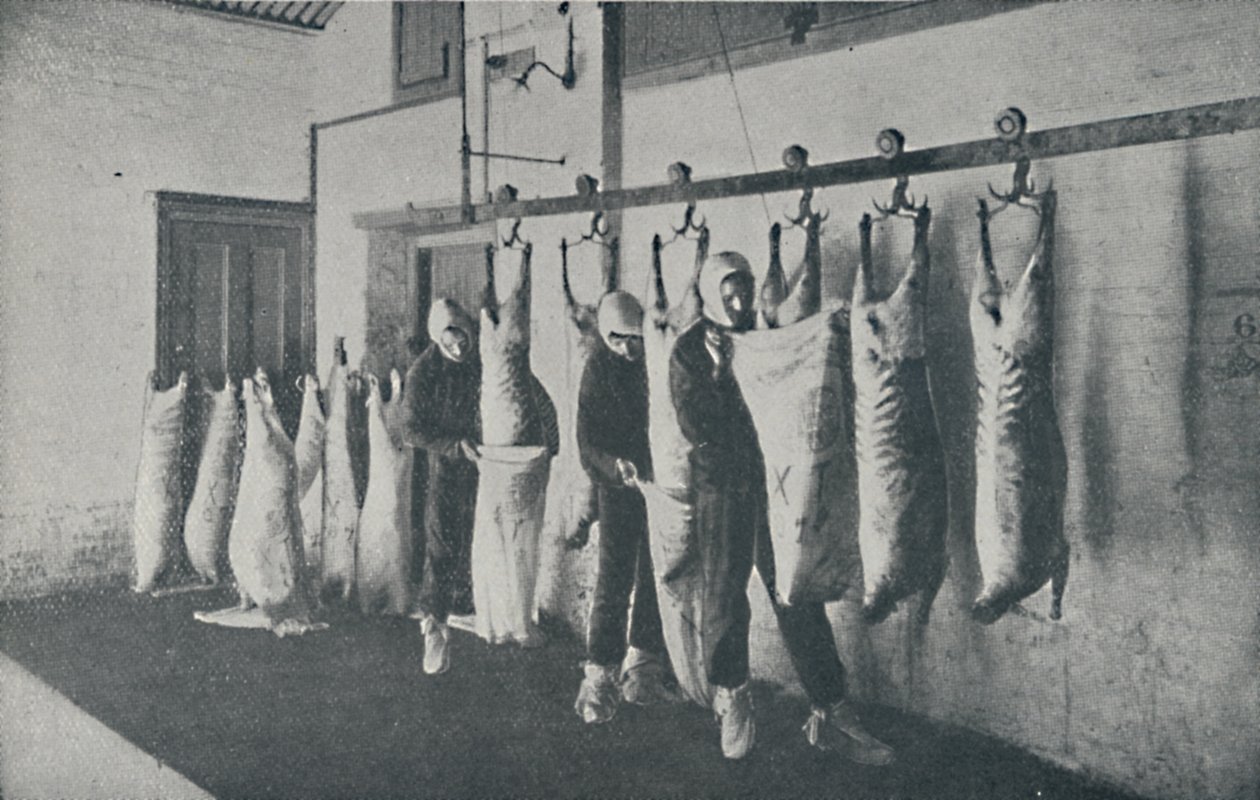Dondurulmuş Et, 1910 by Unbekannt