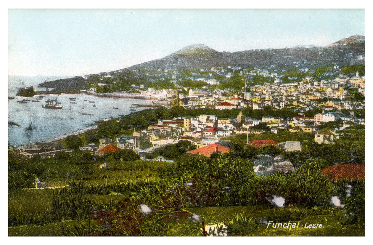 Funchal, Madeira, 20. yüzyılın başlarında by Unbekannt