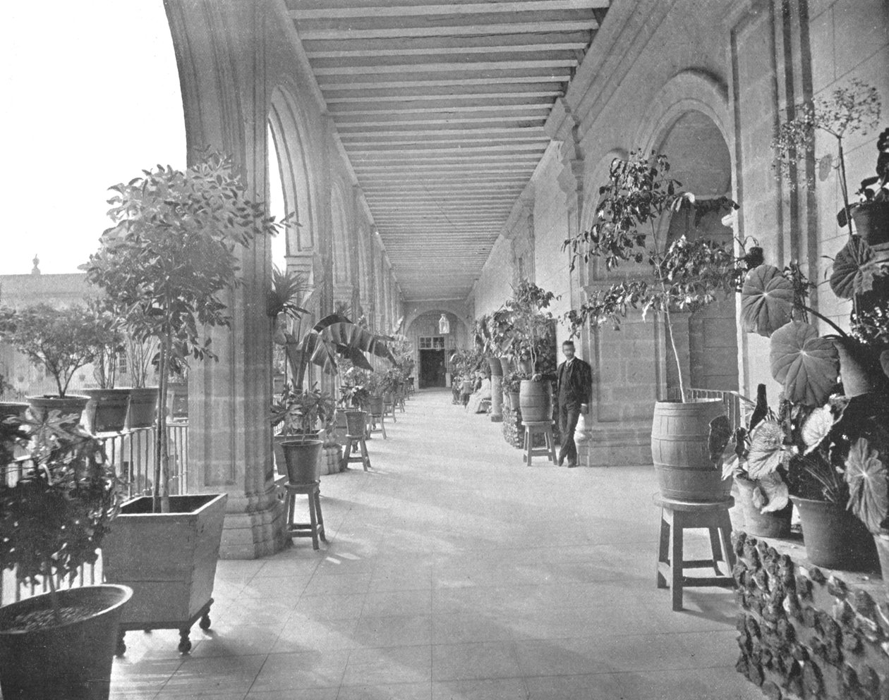 La Paz Vizcainas Okulu Galerisi, Mexico City, Meksika, c1900. by Unbekannt