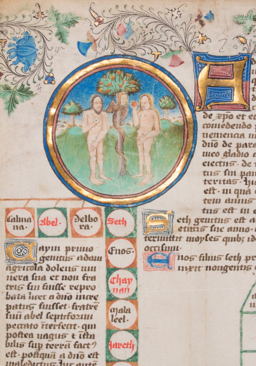 İngiltere Krallarının Şecere Chronicle, 1466-67. by Unbekannt