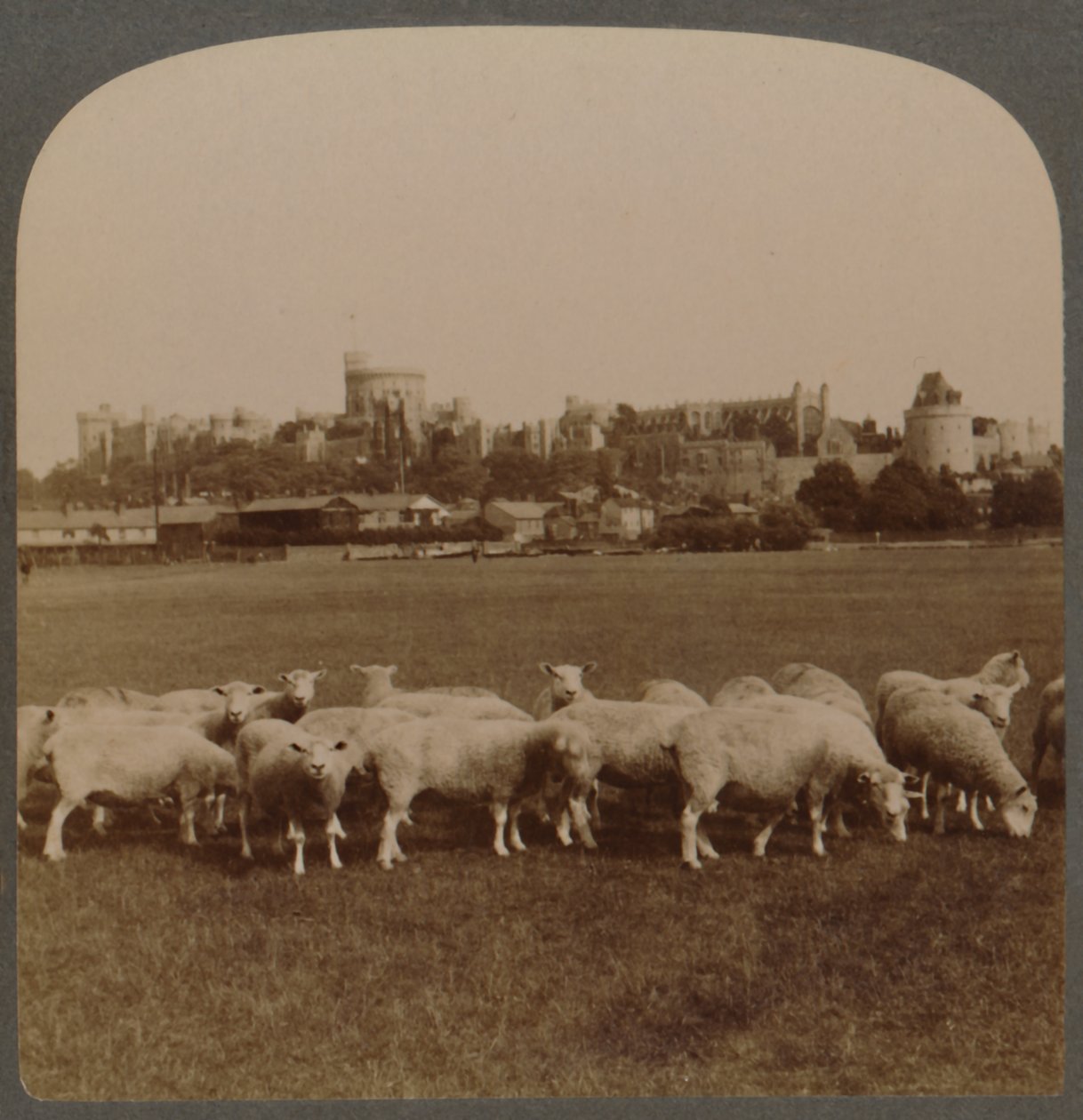 Genel Görünüm Windsor Kalesi, İngiltere, 1896. by Unbekannt