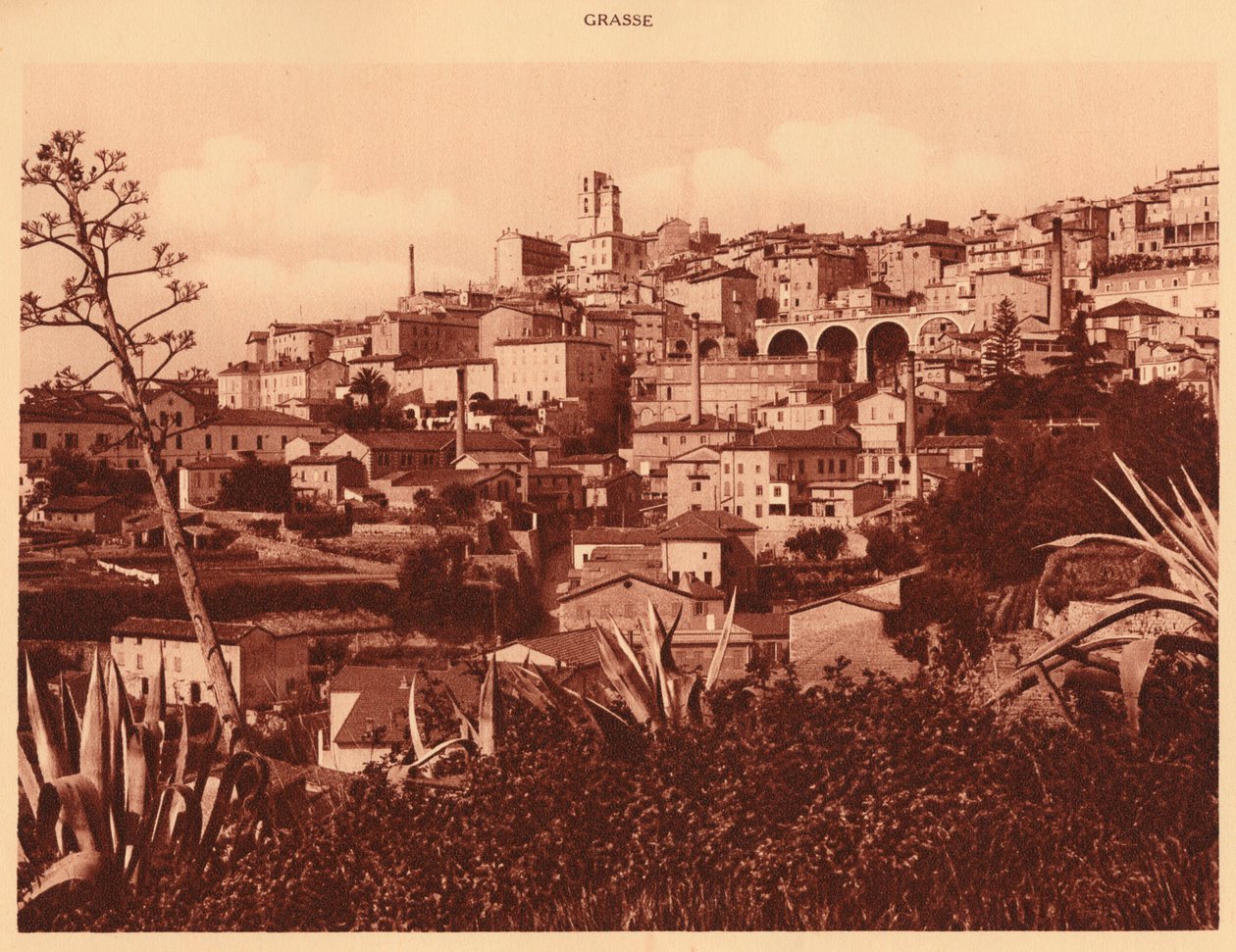 Grasse