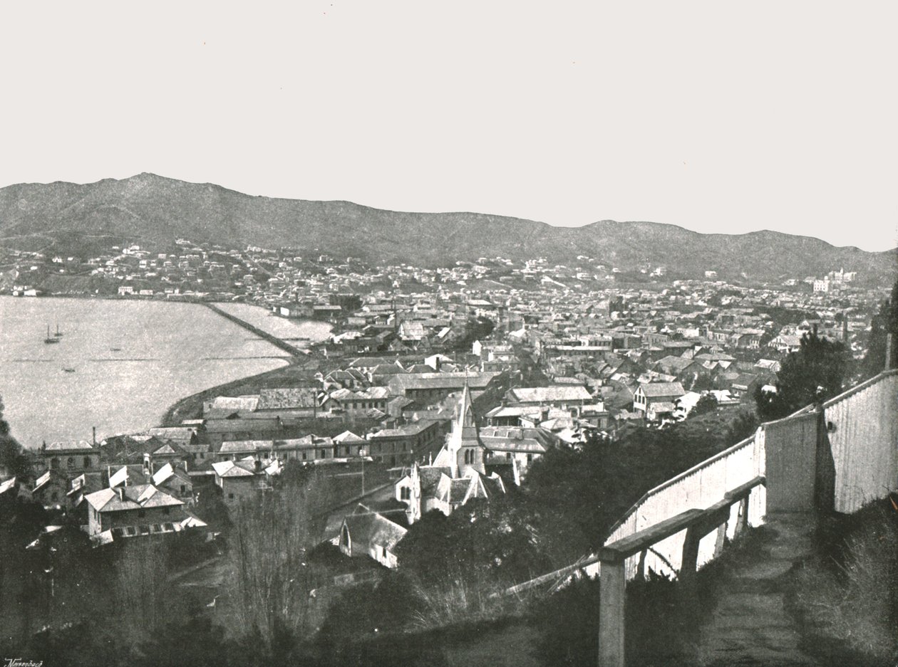 Şehrin genel görünümü, Wellington, Yeni Zelanda, 1895. by Unbekannt
