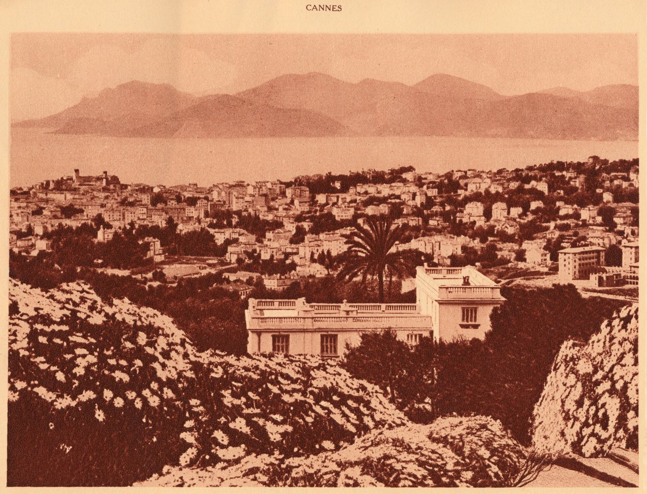Pezou
