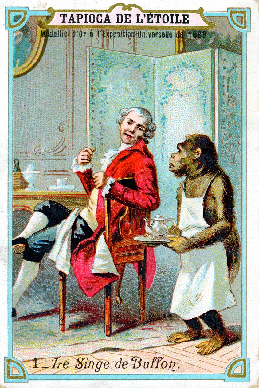 George-Louis Leclerc, Comte de Buffon, 18. yüzyıl Fransız doğa bilimci, c1890 by Unbekannt