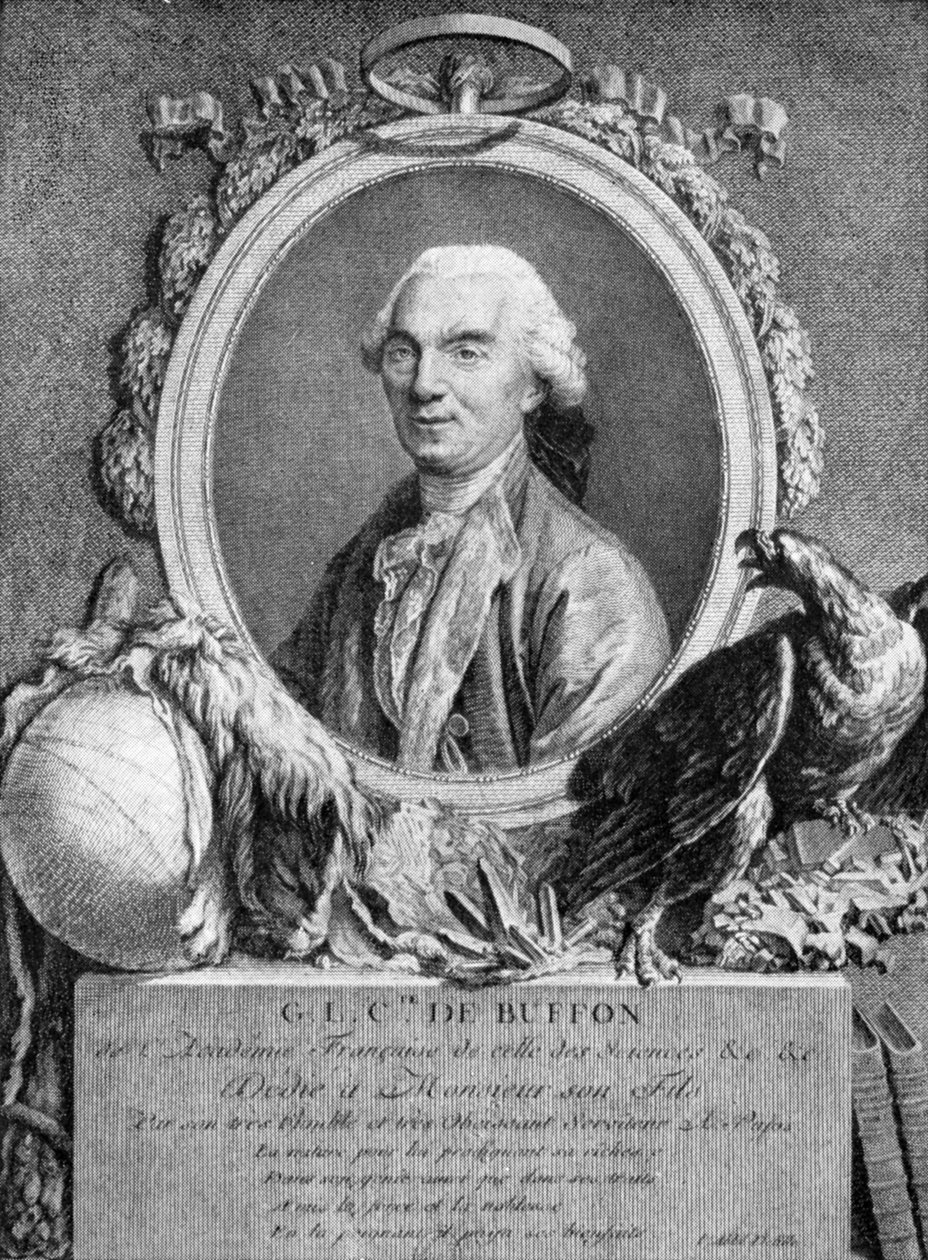 Georges-Louis Leclerc, Comte de Buffon, Fransız doğa bilimci, 18. yüzyıl by Unbekannt