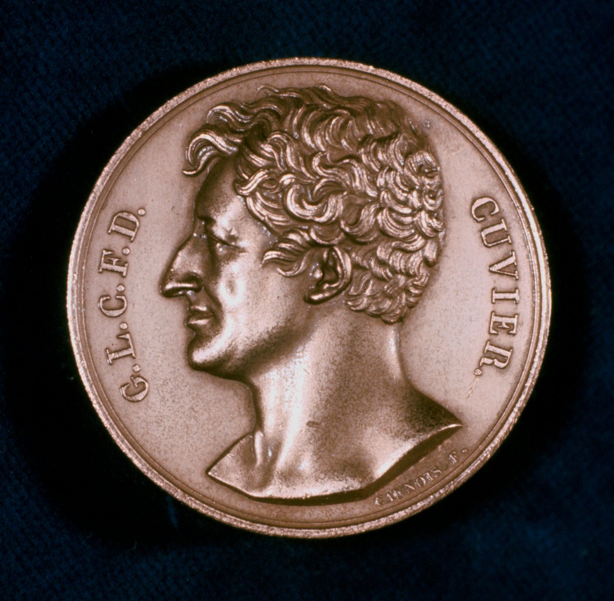 Georges Leopold Chretien Frederic Dagobert, Baron Cuvier, Fransız anatomist, 19. yüzyıl by Unbekannt