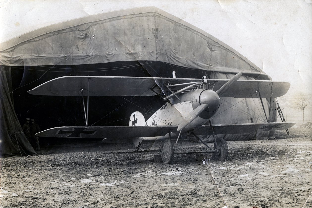 Alman Albatros DV, Souilly, Fransa, 2 Ocak 1918 by Unbekannt