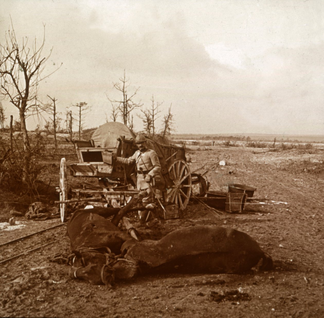 Alman atlı aracı, Tahure, kuzey Fransa, c1914-c1918 by Unbekannt