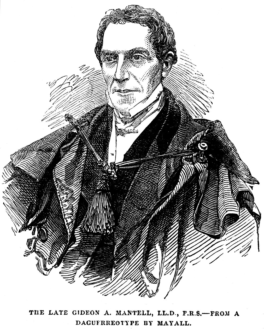 Gideon Algernon Mantell, İngiliz jeolog, 1852 by Unbekannt