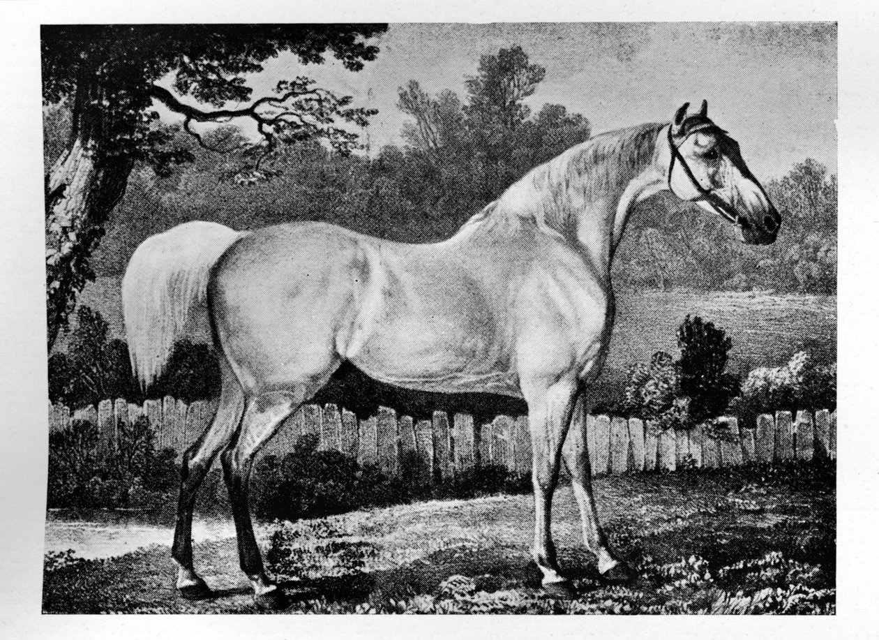 Hile, 1760 -1777, 1911 by Unbekannt