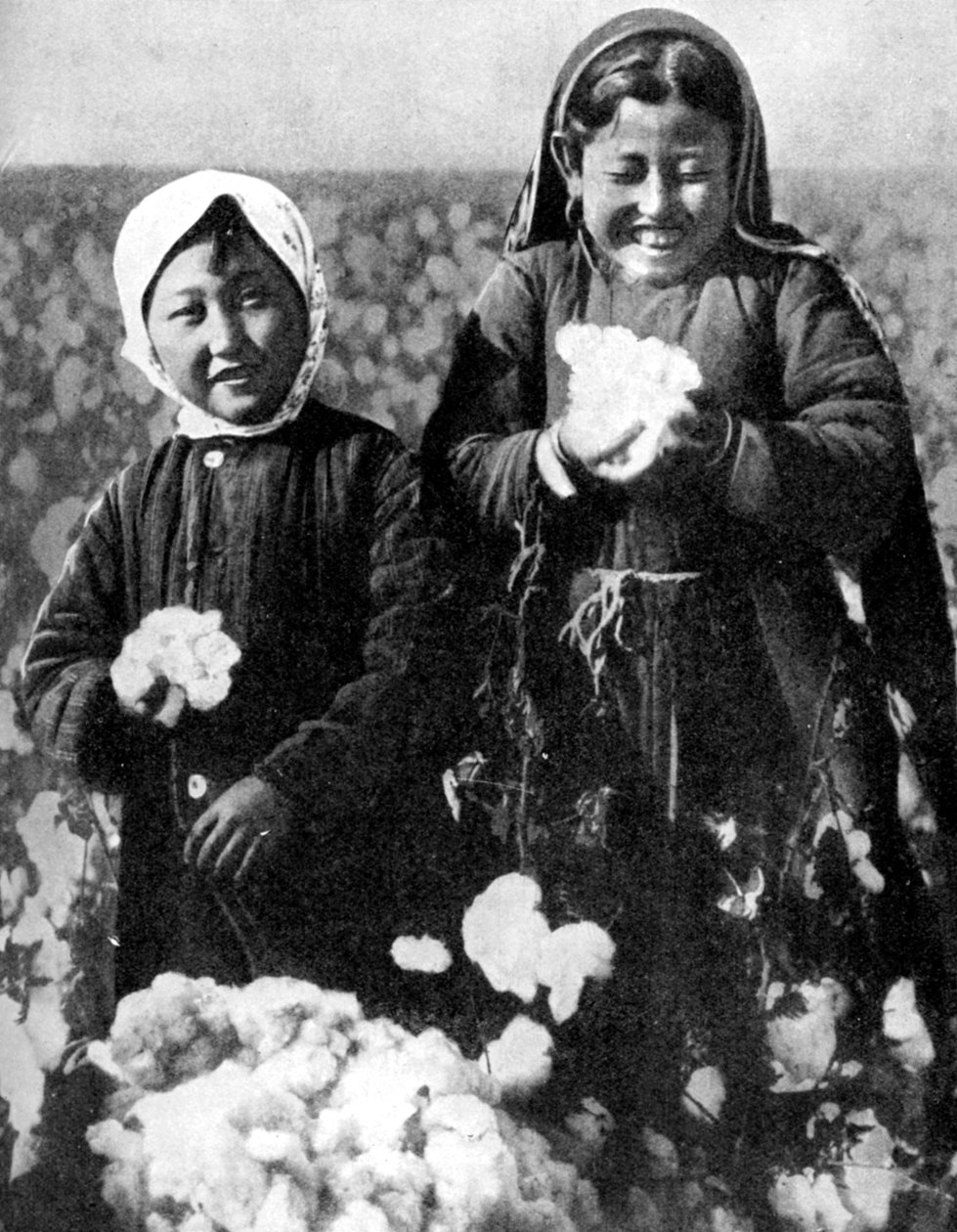 Pamuk tarlasındaki kızlar, Kazakistan, 1936 by Unbekannt