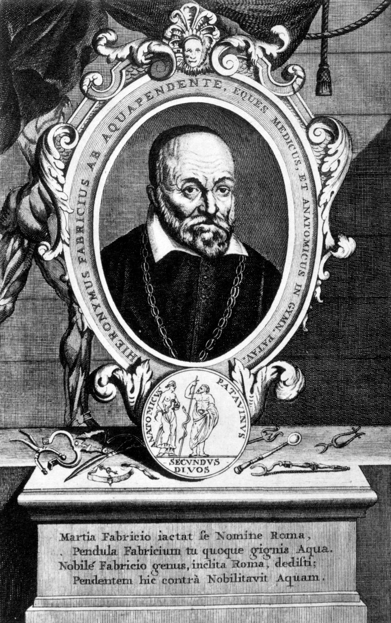 Girolamo Fabrici, İtalyan anatomist ve cerrah, 17. yüzyıl by Unbekannt