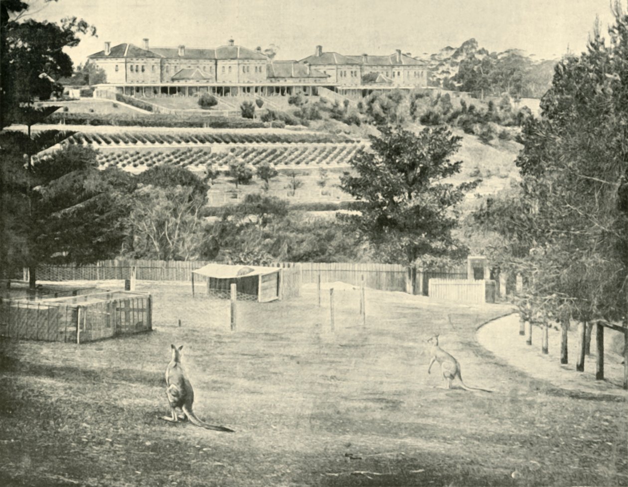 Deliler için Gladesville İltica, Yeni Güney Galler, 1901. by Unbekannt