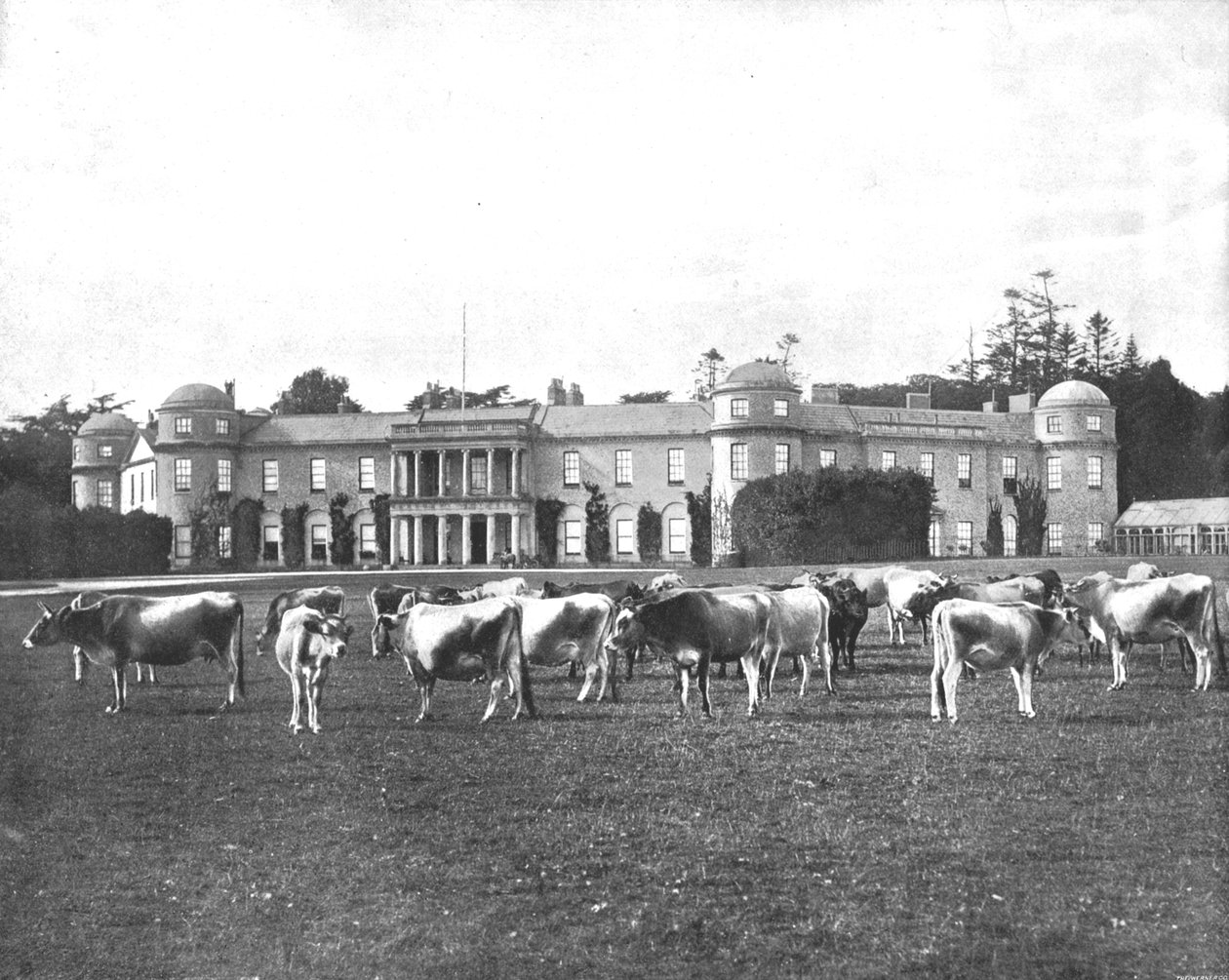 Goodwood, Hampshire, 1894. by Unbekannt