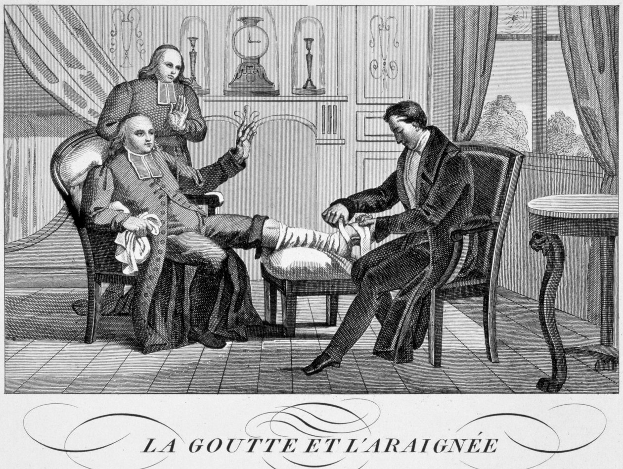 Gut ve Örümcek, c1835 by Unbekannt