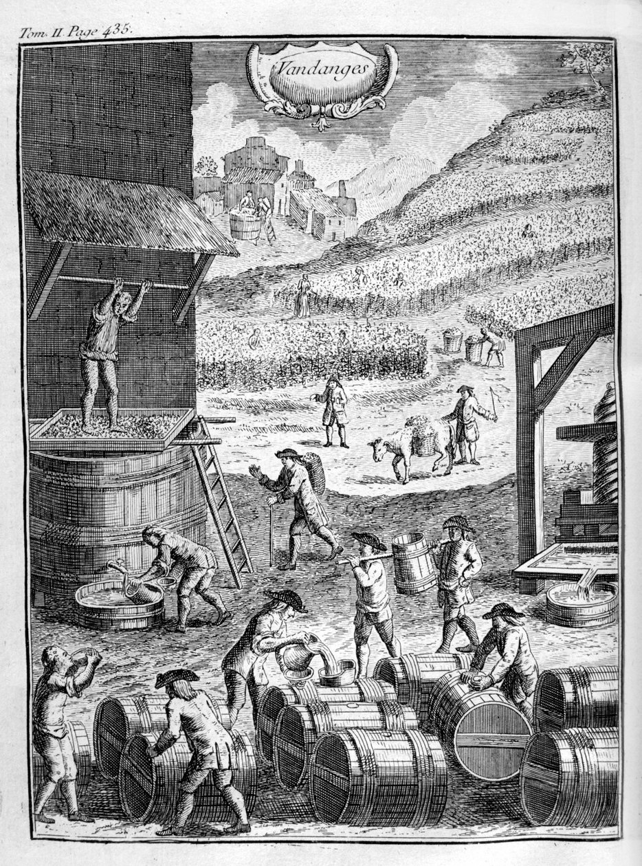 Üzüm hasadı, 1775 by Unbekannt