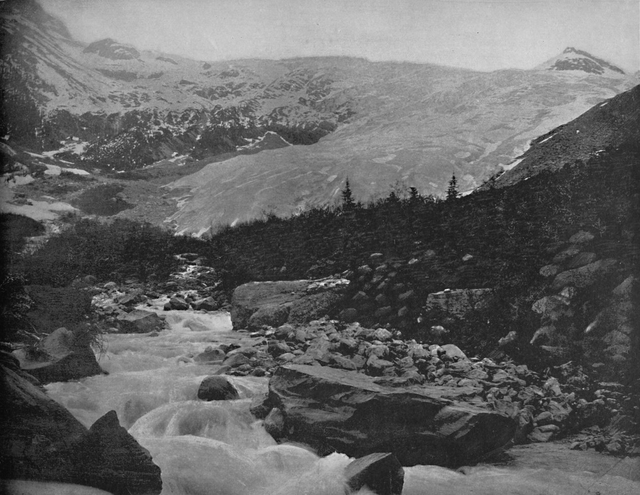 Büyük Buzul, Selkirk Dağları, Kanada, c1897. by Unbekannt