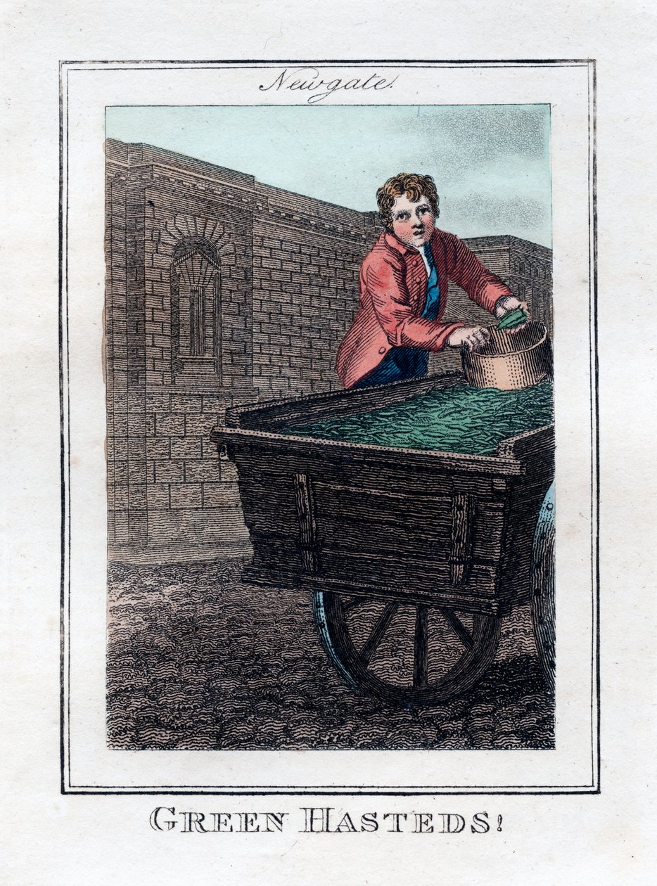 Green Hasteds, Newgate, Londra, 1805 by Unbekannt