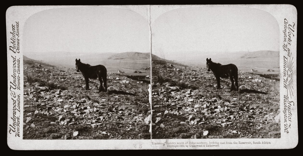 Boer Savaşı (Güney Afrika by Unbekannt