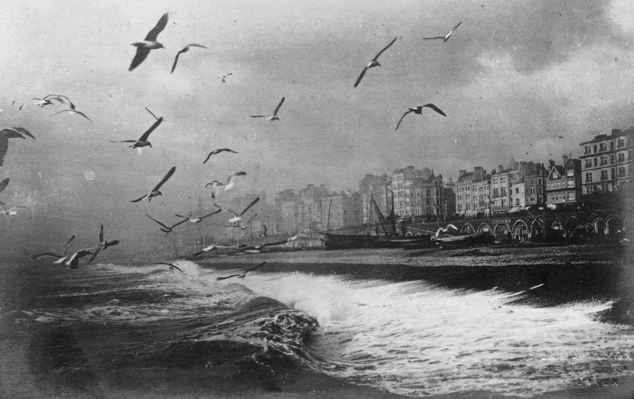 Brighton