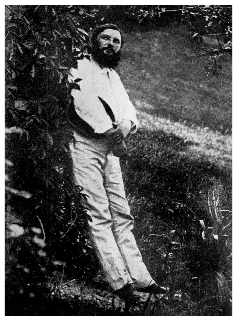 Gustave Courbet, Fransız sanatçı, 19. yüzyıl 1956 by Unbekannt